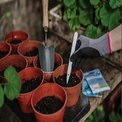 handschoen tuin maat L