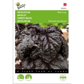 basilicum kopen