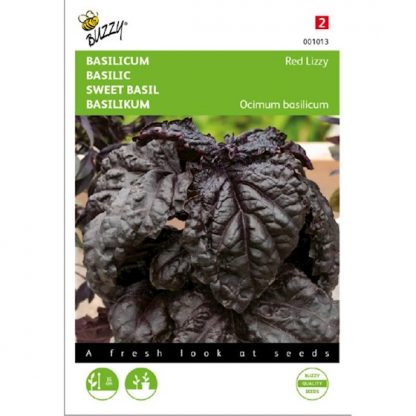 basilicum kopen