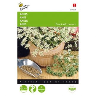 Anijs kopen