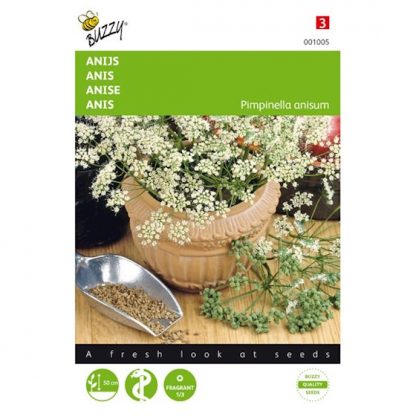 Anijs kopen