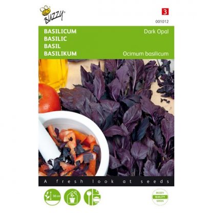 basilicum zaad kopen