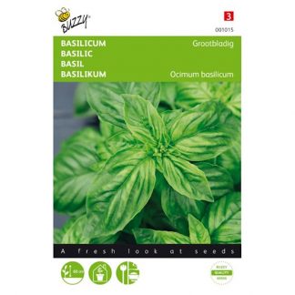 Basilicum gezond
