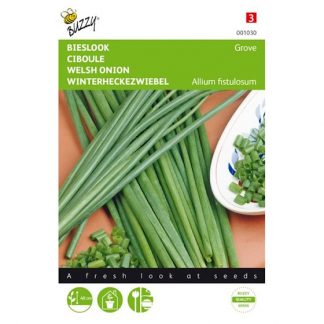 Buzzy Seeds Buzzy® Bieslook Grove