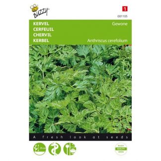 Buzzy Seeds Buzzy® Kervel Gewone