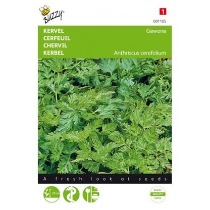 Buzzy Seeds Buzzy® Kervel Gewone