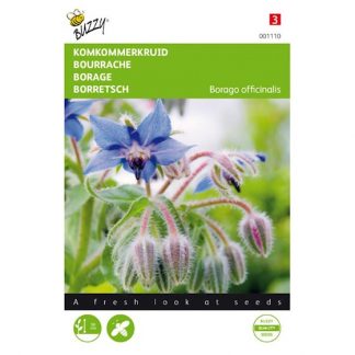 Buzzy Seeds Buzzy® Komkommerkruid (Borage)