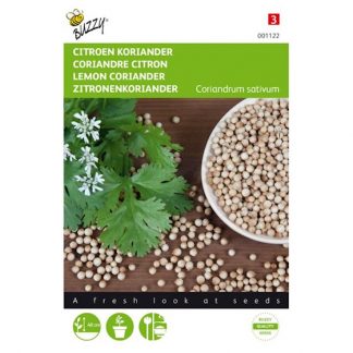 Buzzy Seeds Buzzy® Koriander Citroen laag