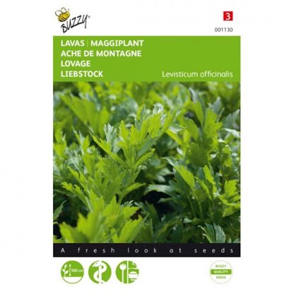 Buzzy Seeds Buzzy® Lavas (Maggiplant)