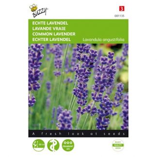 Buzzy Seeds Buzzy® Echte Lavendel
