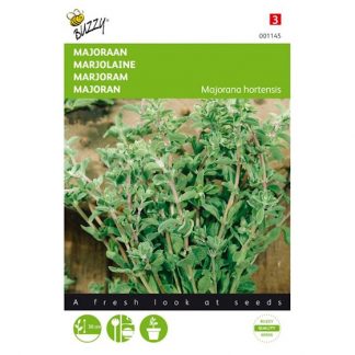 Buzzy Seeds Buzzy® Majoraan