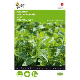 Buzzy Seeds Buzzy® Pepermunt