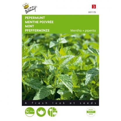 Buzzy Seeds Buzzy® Pepermunt