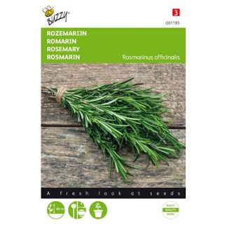 Buzzy Seeds Buzzy® Rozemarijn