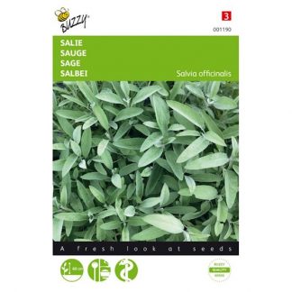 Buzzy Seeds Buzzy® Salie