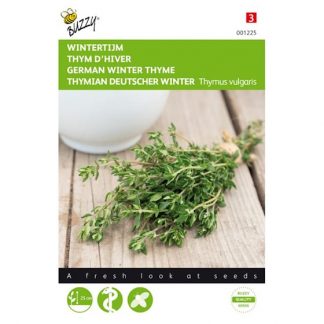 Buzzy Seeds Buzzy® Tijm Echte Winter