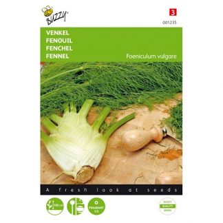 Buzzy Seeds Buzzy® Venkel De Florence