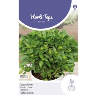 Horti Tops HT Pot-Basilicum Bascuro Griekse Donkergroene