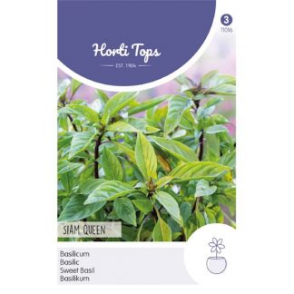 Horti Tops HT Basilicum Siam Queen