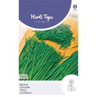 Horti Tops HT Bieslook Prager, fijne