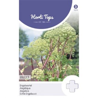 Horti Tops HT Engelwortel