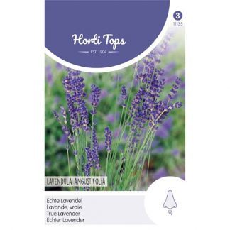 Horti Tops HT Lavendel