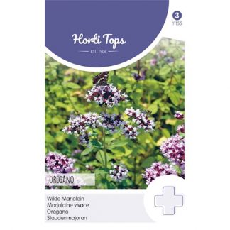Horti Tops HT Marjolein - Oregano (rosebloeiend)