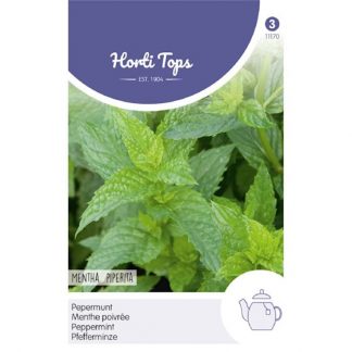 Horti Tops HT Pepermunt