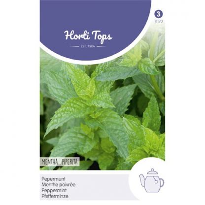 Horti Tops HT Pepermunt