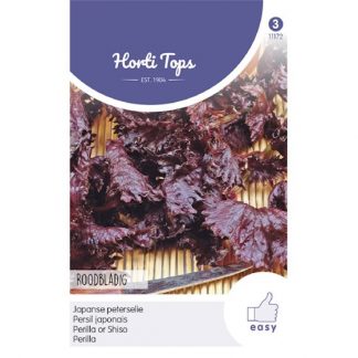Horti Tops HT Perilla, Shiso paarsbladig
