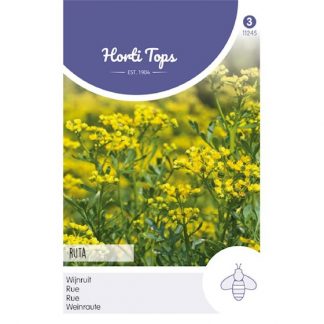 Horti Tops HT Wijnruit