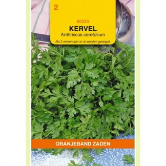 Oranjeband zaden OBZ Kervel Gewone