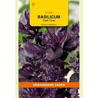 Oranjeband zaden OBZ Basilicum Dark Opal