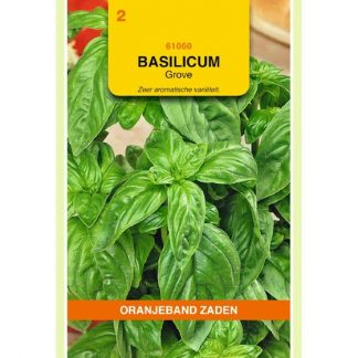 Oranjeband zaden OBZ Basilicum Grove