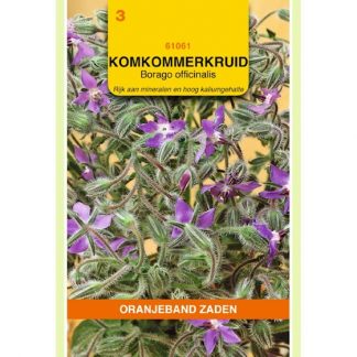 Oranjeband zaden OBZ Borage Komkommerkruid