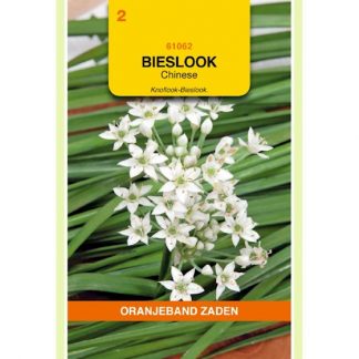 Oranjeband zaden OBZ Bieslook Chinese