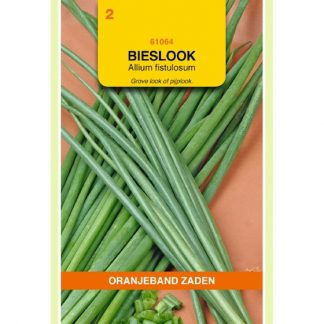 Oranjeband zaden OBZ Bieslook Grove - Winterhecke