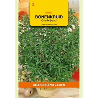 Oranjeband zaden OBZ Bonenkruid Overblijvend