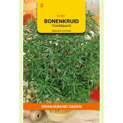 Oranjeband zaden OBZ Bonenkruid Overblijvend
