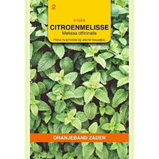 Oranjeband zaden OBZ Citroenmelisse