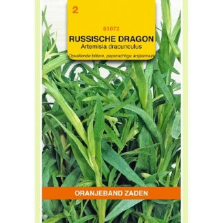 Oranjeband zaden OBZ Dragon Russische