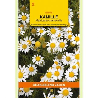 Oranjeband zaden OBZ Kamille