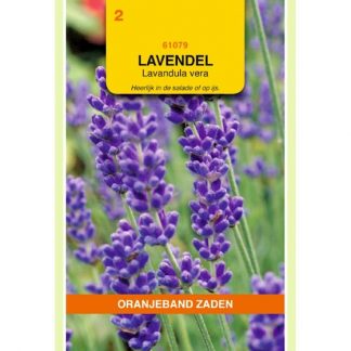 Oranjeband zaden OBZ Lavendel