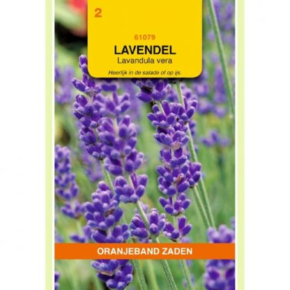 Oranjeband zaden OBZ Lavendel