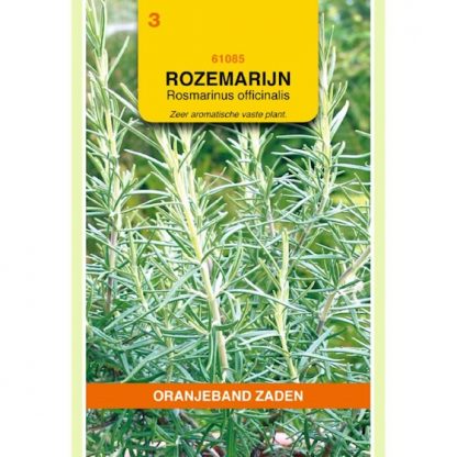 Oranjeband zaden OBZ Rozemarijn