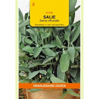 Oranjeband zaden OBZ Salie
