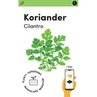 Koriander zaden