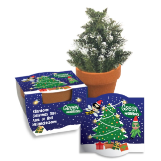 Kerstboom groeicadeautje