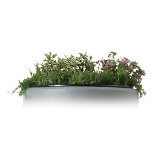 Plant pot voor 2 in 1 regenton
