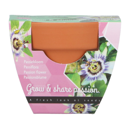 Passiflora groeicadeautje